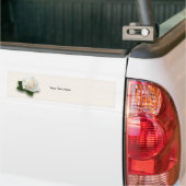 White Rose "Pascali" Bumpersticker (Op Truck)