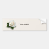 White Rose "Pascali" Bumpersticker (Voorkant)
