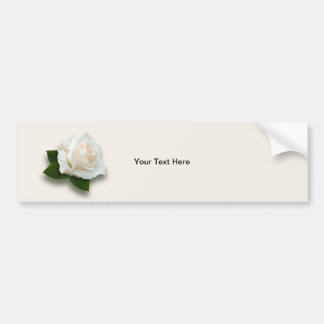 White Rose "Pascali" Bumpersticker