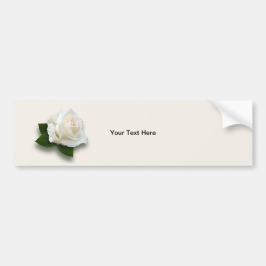 White Rose "Pascali" Bumpersticker (Voorkant)