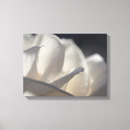 White Rose Petals Flower Canvas Afdruk (Voorkant)