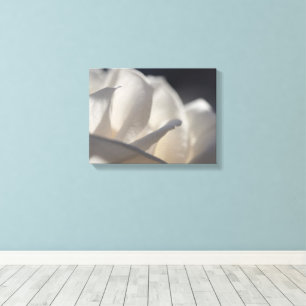 White Rose Petals Flower Canvas Afdruk