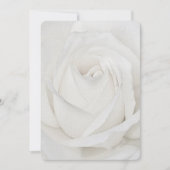 white Rose Petals Notitiekaartje (Voorkant)