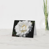 White Rose Photo Folded Note Kaart (Voorkant)