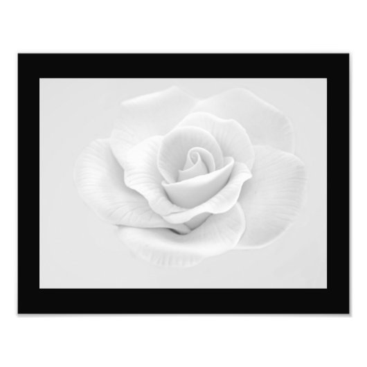 White Rose Photo Print Foto Afdruk (Voorkant)