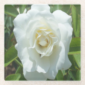 White Rose Photo Square Onderzetter Glazen Onderzetter