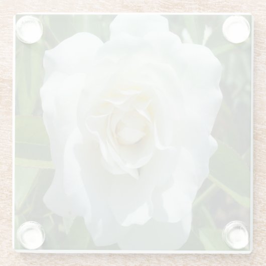 White Rose Photo Square Onderzetter Glazen Onderzetter (Achterkant)