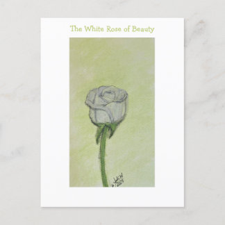White Rose Postcard or Note Briefkaart