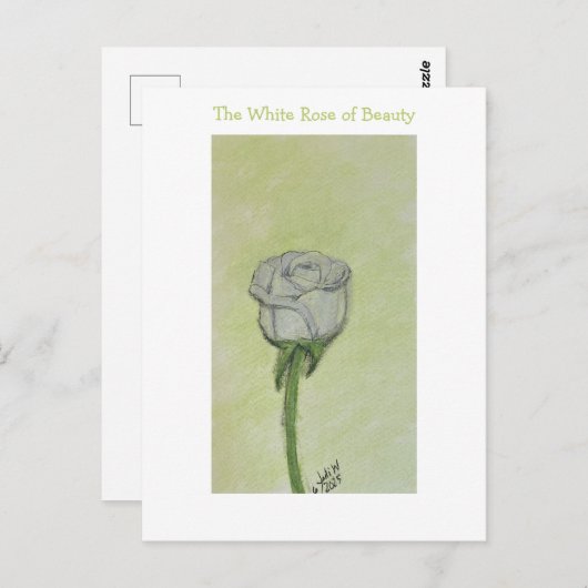 White Rose Postcard or Note Briefkaart (Voorkant / Achterkant)