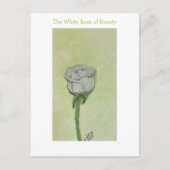 White Rose Postcard or Note Briefkaart (Voorkant)