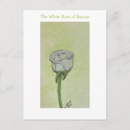 White Rose Postcard or Note Briefkaart