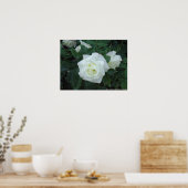 White Rose Poster (Keuken)