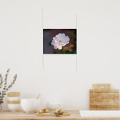 White Rose Poster (Keuken)