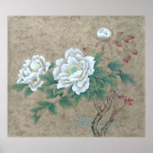 White Rose Poster (Voorkant)