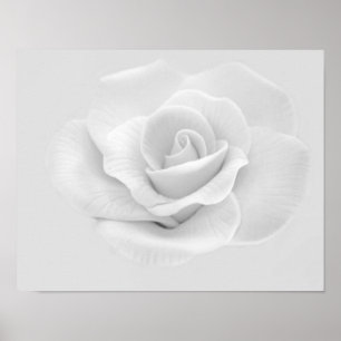 White Rose Poster