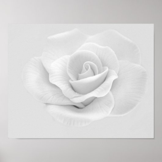 White Rose Poster (Voorkant)