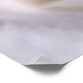 White Rose Poster (Hoek)