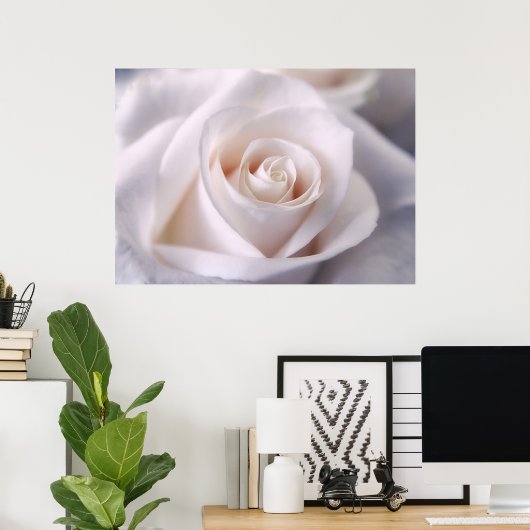 White Rose Poster (Thuiskantoor)