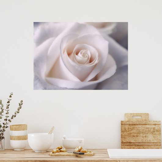 White Rose Poster (Keuken)