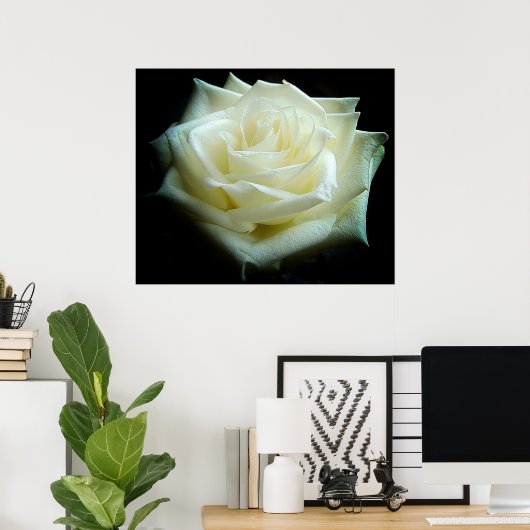 White Rose Poster (Thuiskantoor)