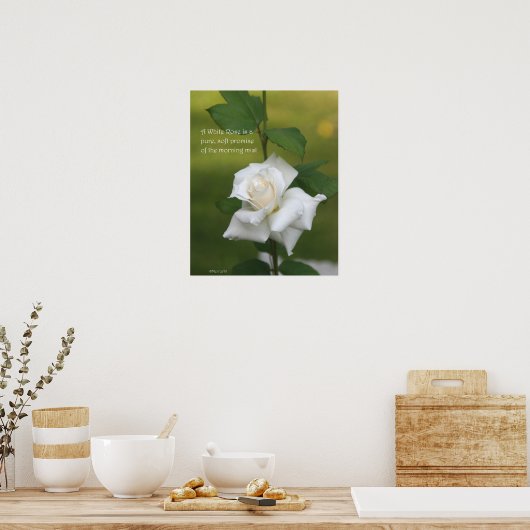 White Rose Poster: ROOS & PROSE 16x20 Poster (Keuken)