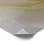 White Rose Poster — Schitterende, langwerpige afdr (Hoek)