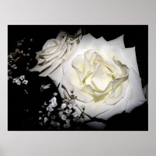 White Rose print (Voorkant)