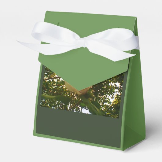 White Rose Ribbon Gift Bedankdoosjes (Voorkant Zijde)