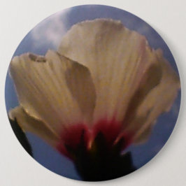 White Rose Ronde Button 6,0 Cm