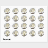 White Rose Ronde Sticker (Vel)