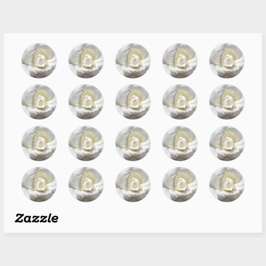 White Rose Ronde Sticker (Vel)