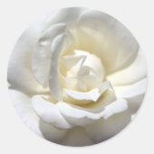 White Rose Ronde Sticker (Voorkant)