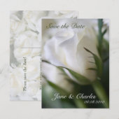 White Rose · Save the Date Briefkaart (Voorkant / Achterkant)