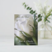 White Rose · Save the Date Briefkaart (Staand voorkant)