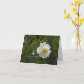 White Rose Shadow Fairy Kaart (Gele Bloem)