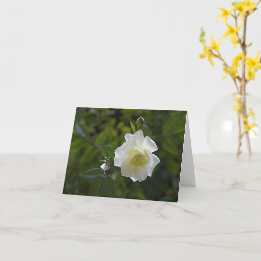 White Rose Shadow Fairy Kaart (Gele Bloem)