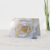 White rose soft focus kaart (Voorkant)