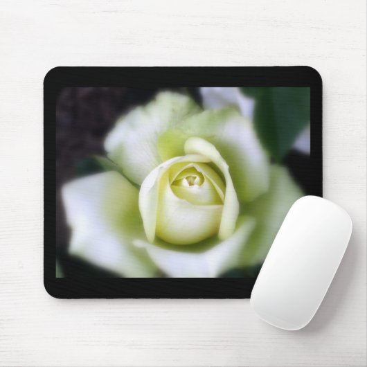 White Rose Soft Focus Muismat (Met muis)