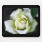 White Rose Soft Focus Muismat (Voorkant)