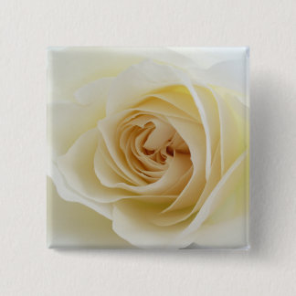 White Rose Square Button 001