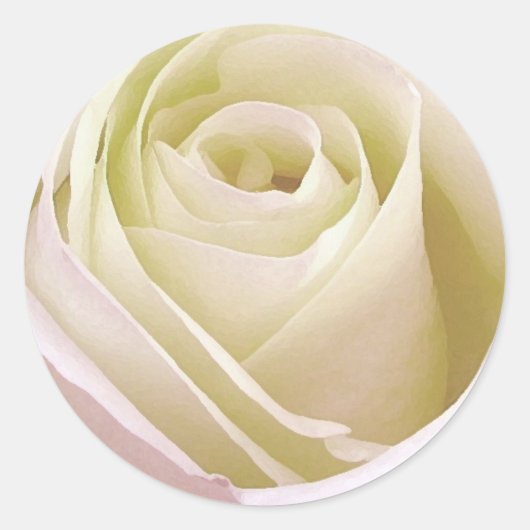 White Rose Sticker (Voorkant)