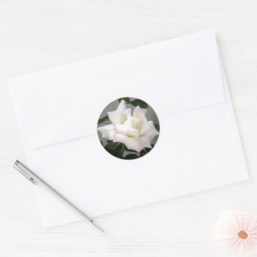 White Rose Sticker (Envelop)