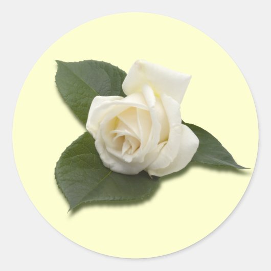White Rose Sticker (Voorkant)