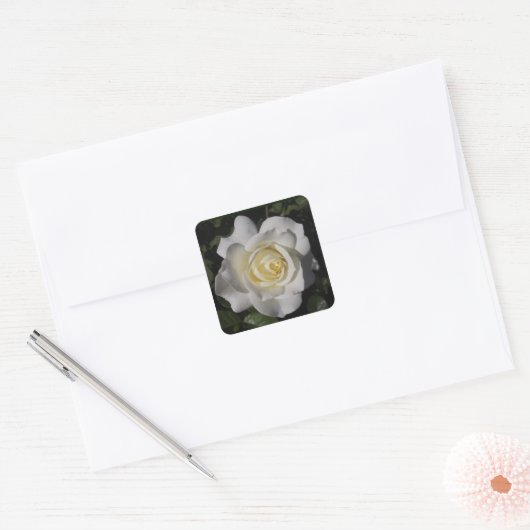 White Rose Sticker (Envelop)