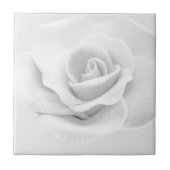 White Rose Tegeltje (Voorkant)