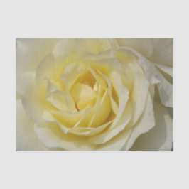 White Rose Tissue Paper Tissuepapier