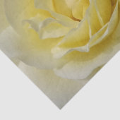 White Rose Tissue Paper Tissuepapier (Detail)