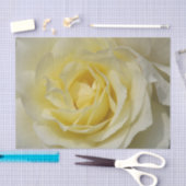 White Rose Tissue Paper Tissuepapier (Craft)