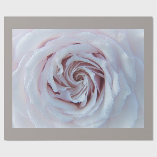 White Rose Valentijnsdag Wrapping Paper Cadeaupapier (Vlak)