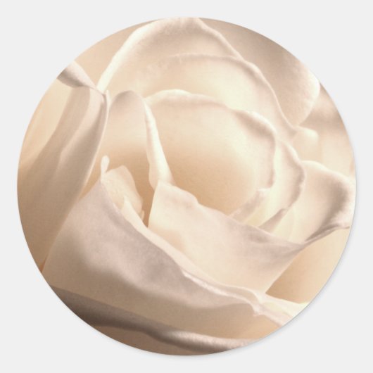 White Rose Wedding Envelope Seal Sticker (Voorkant)